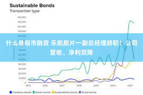 什么是股市融资 乐凯胶片一副总经理辞职！公司营收、净利双降