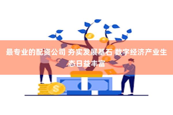 最专业的配资公司 夯实发展基石 数字经济产业生态日益丰富