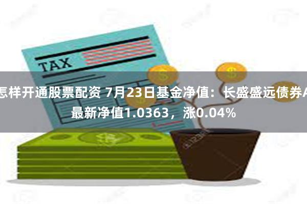 怎样开通股票配资 7月23日基金净值：长盛盛远债券A最新净值1.0363，涨0.04%