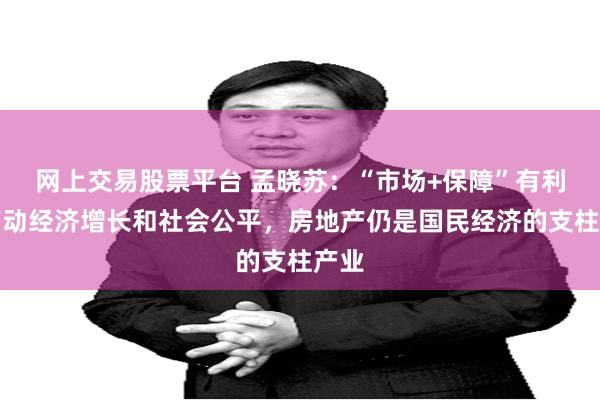 网上交易股票平台 孟晓苏：“市场+保障”有利于带动经济增长和社会公平，房地产仍是国民经济的支柱产业