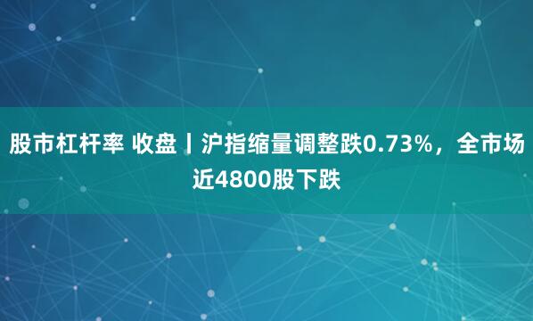 股市杠杆率 收盘丨沪指缩量调整跌0.73%，全市场近4800股下跌