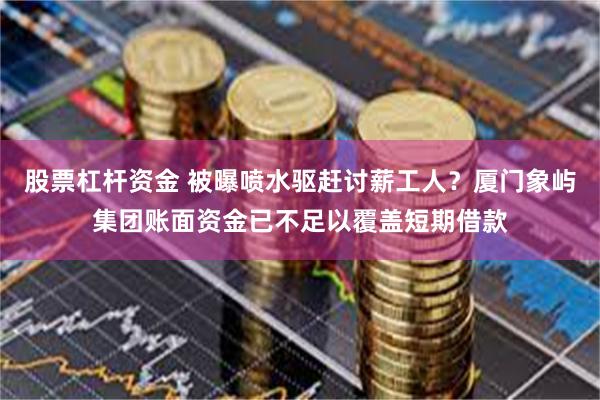 股票杠杆资金 被曝喷水驱赶讨薪工人？厦门象屿集团账面资金已不足以覆盖短期借款