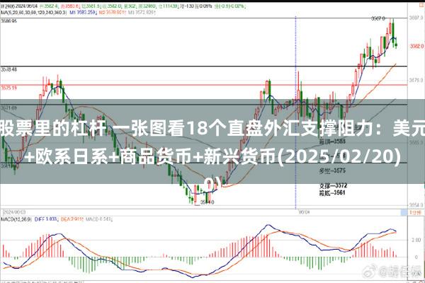 股票里的杠杆 一张图看18个直盘外汇支撑阻力：美元+欧系日系+商品货币+新兴货币(2025/02/20)